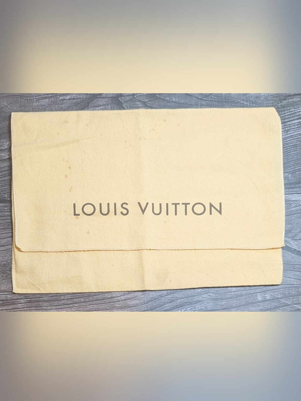 Louis Vuitton Speedy Alma Neverfull PM Large Envelope Handbag Dust Bag Carryall